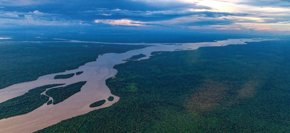 À la COP16 sur la biodiversité, Guterres exhorte le monde à « faire la paix avec la nature »